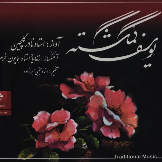 آهنگ نادر گلچین دوباره